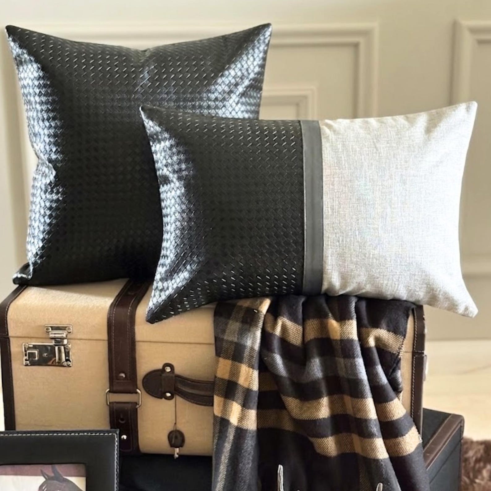 Tanner Black Throw Pillow Cover