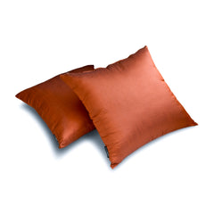Rust Luxury Pack of 2 - Rust Art Silk Throw Pillow Cover