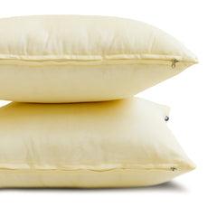 Cream Luxury Pack of 2 - Cream Art Silk Throw Pillow Cover