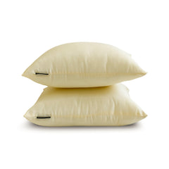 Cream Luxury Pack of 2 - Cream Art Silk Throw Pillow Cover