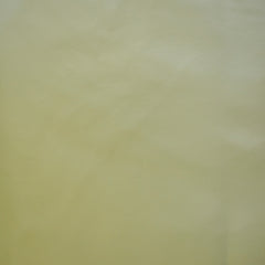 54" Wide Light Green Faux Leather Fabric By The Yard