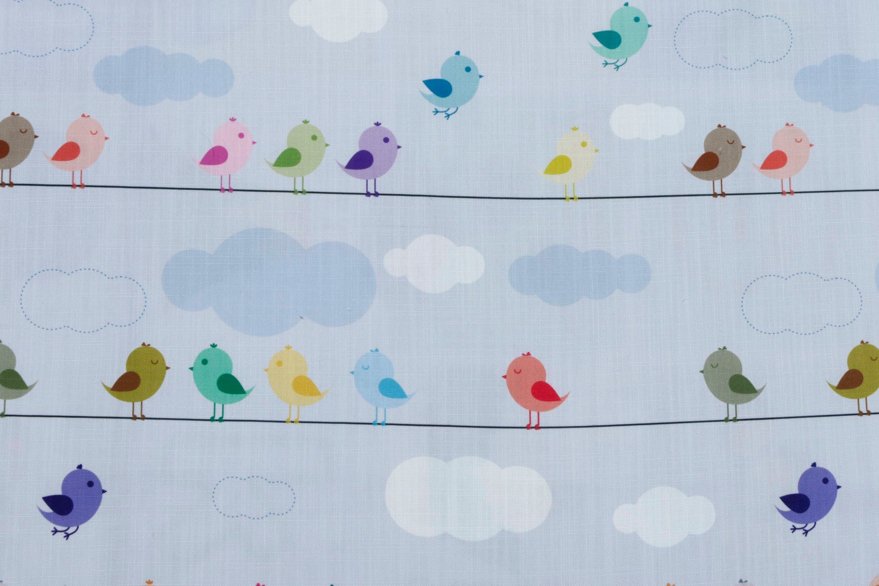 Cute Birds Kids Cotton Fabric By The Yard
