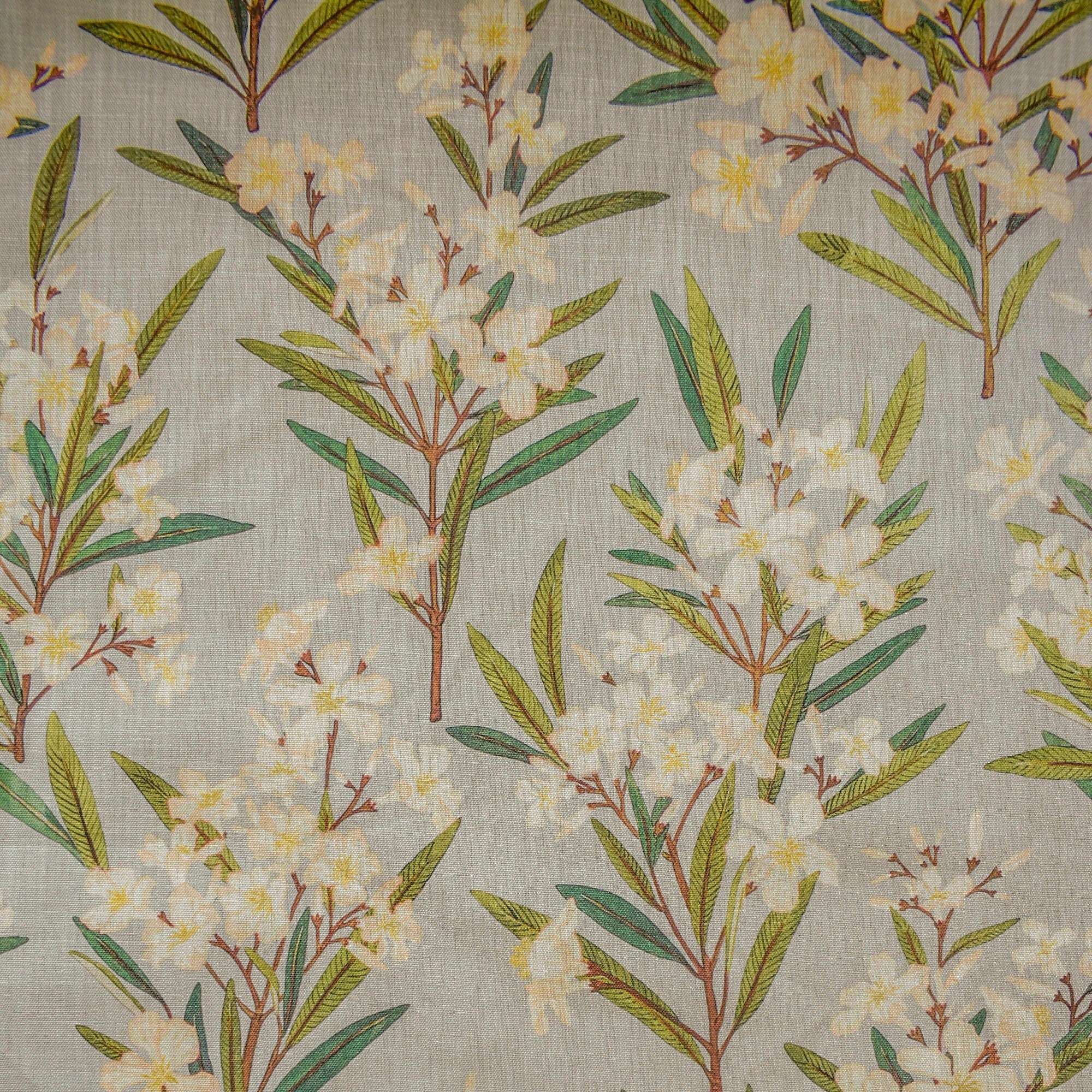 Green, Cream Printed Cotton Fabric by the Yard