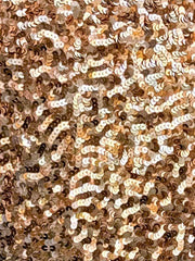 Golden Sparkle beaded Decorative Euro Sham