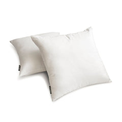 White Luxury Pack of 2 - White Art Silk Throw Pillow Cover