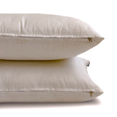 Light Gray Luxury Pack of 2 - Light Gray Art Silk Throw Pillow Cover