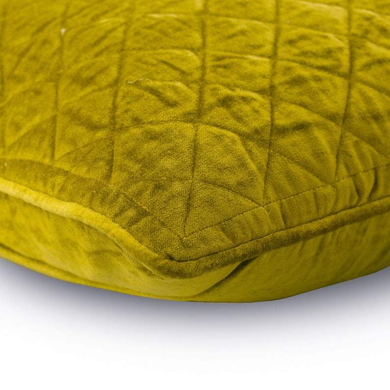 Lemongrass Soul Velvet Decorative Euro Sham