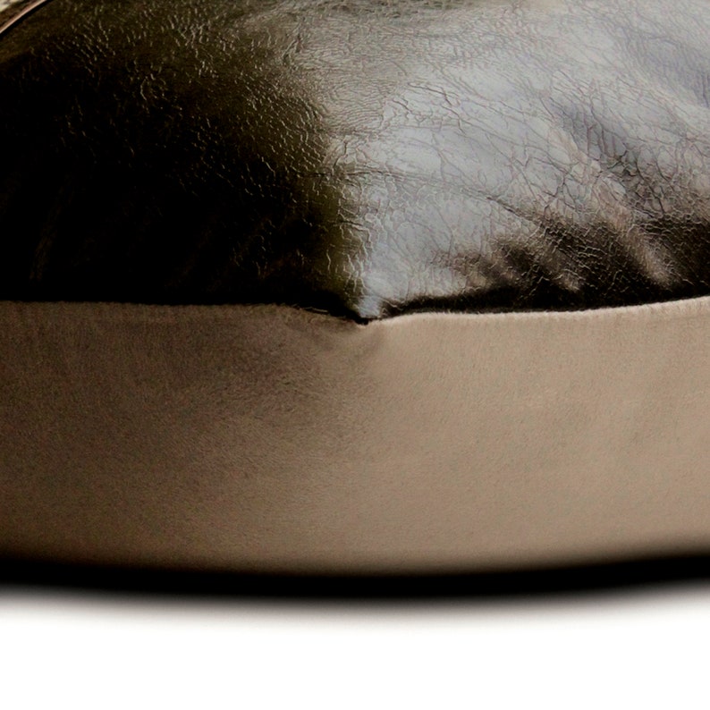 Triumph Lumbar Pillow Cover