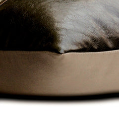 Triumph Lumbar Pillow Cover